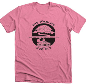 pink tshirt with the chapter logo on the front of the shirt